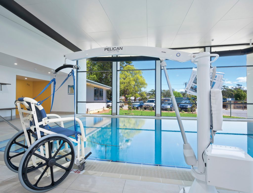 Pelican pool hoist