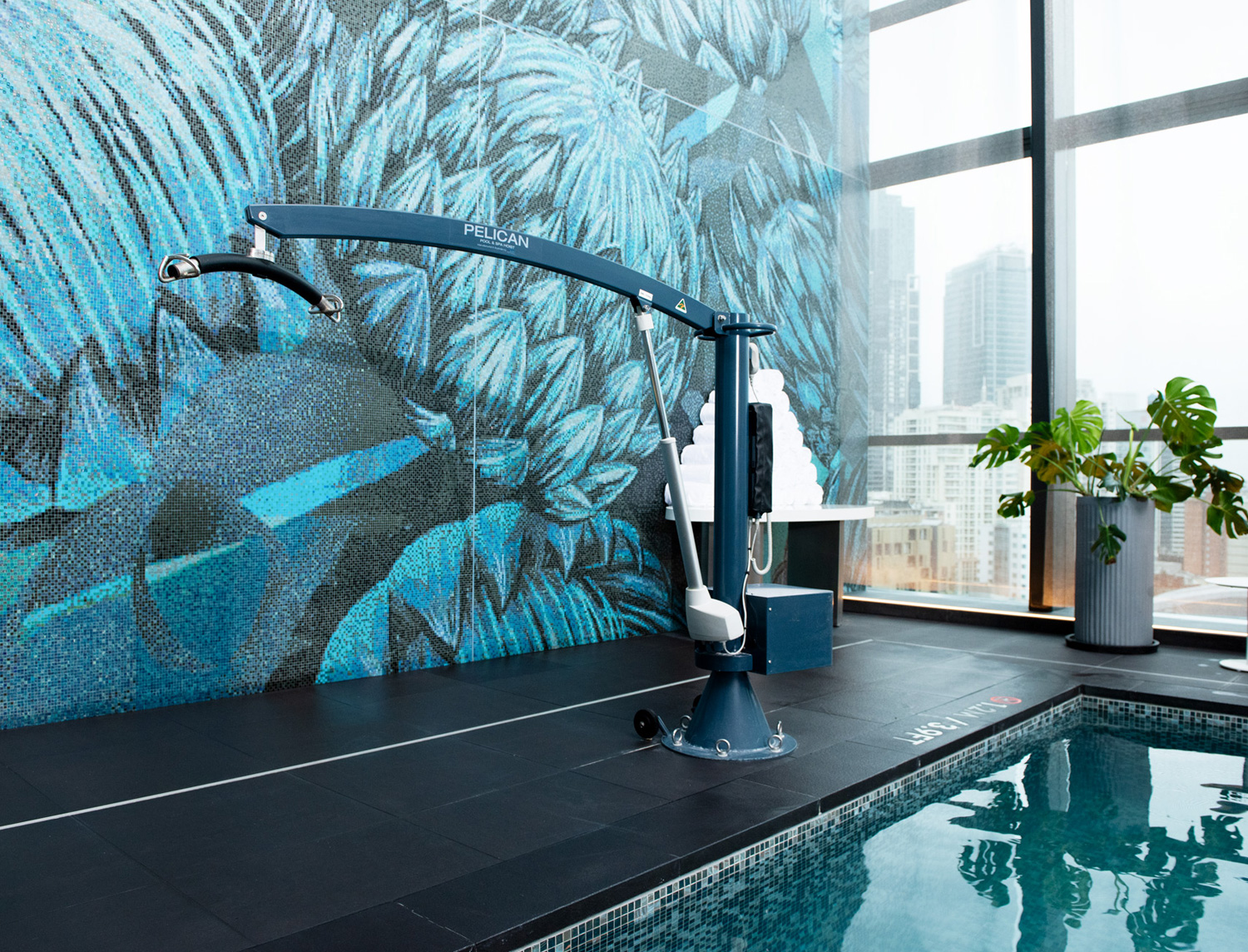 Pelican Pool & Spa Hoist